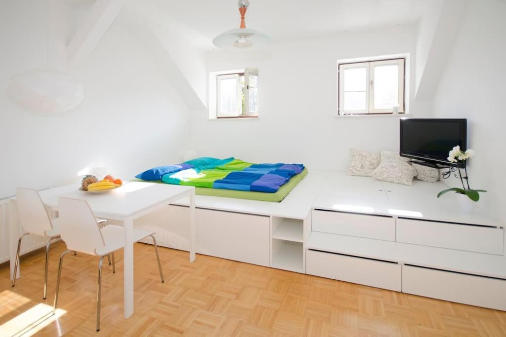 The Cute, Sunny Apartment In The Center +P Lubiana Esterno foto