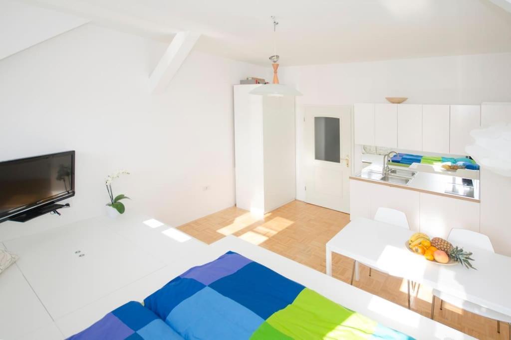 The Cute, Sunny Apartment In The Center +P Lubiana Esterno foto