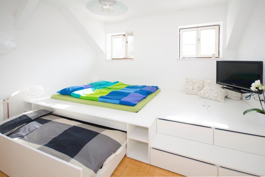 The Cute, Sunny Apartment In The Center +P Lubiana Esterno foto